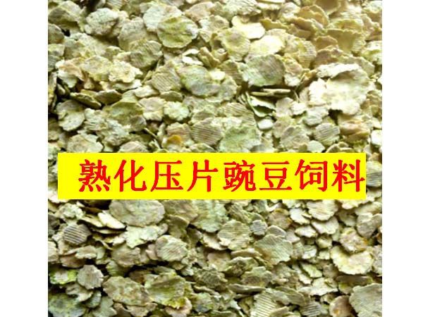 熟化压片豌豆饲料